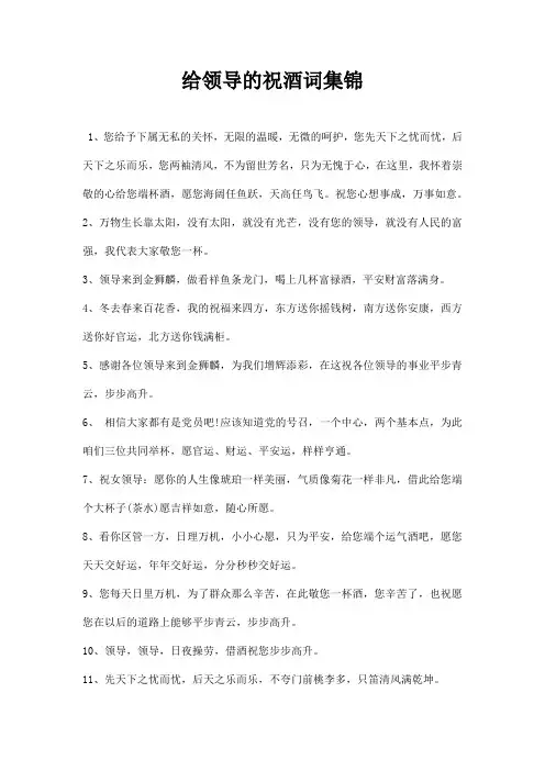 给领导的祝酒词集锦