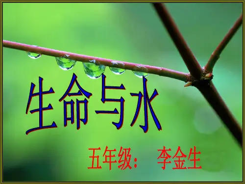 生命与水完美版PPT