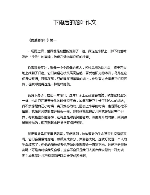 下雨后的落叶作文