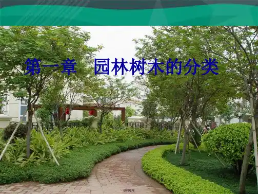 园林树木的分类培训课件(共22张PPT)