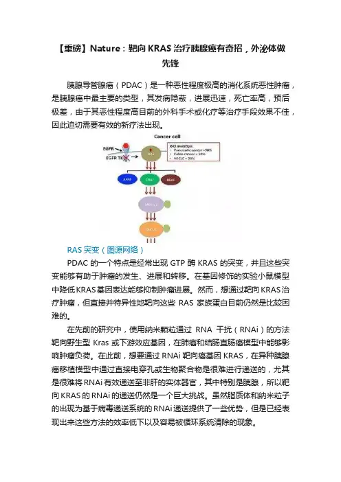 【重磅】Nature：靶向KRAS治疗胰腺癌有奇招，外泌体做先锋