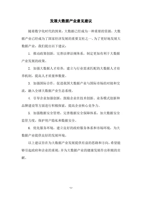发展大数据产业意见建议