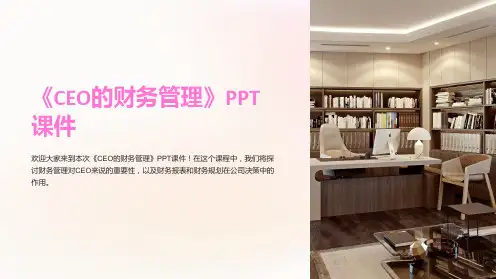 《ceo的财务管理》课件