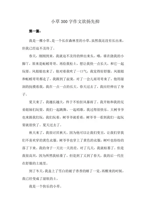 小草300字作文欲扬先抑
