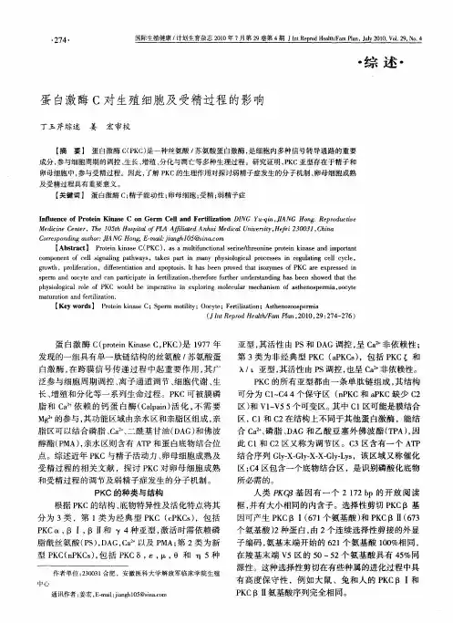 蛋白激酶C对生殖细胞及受精过程的影响