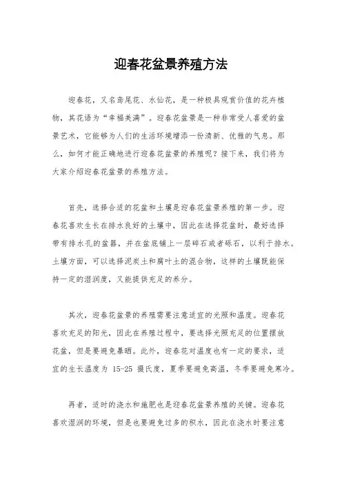 迎春花盆景养殖方法