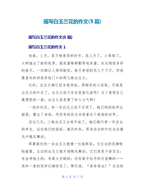 描写白玉兰花的作文(5篇)