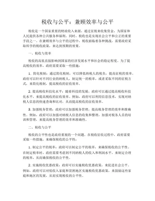 税收与公平：兼顾效率与公平