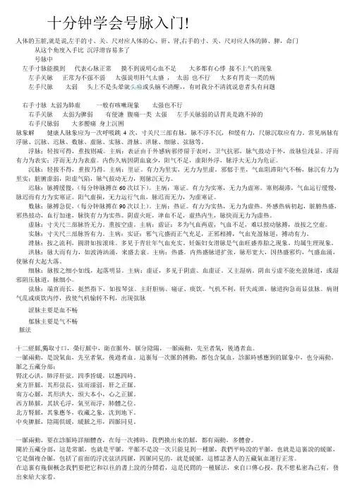 十分钟学会号脉入门