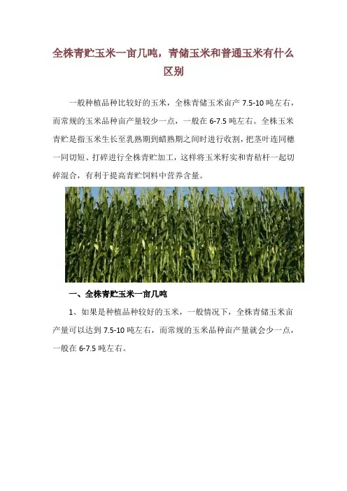 全株青贮玉米一亩几吨,青储玉米和普通玉米有什么区别