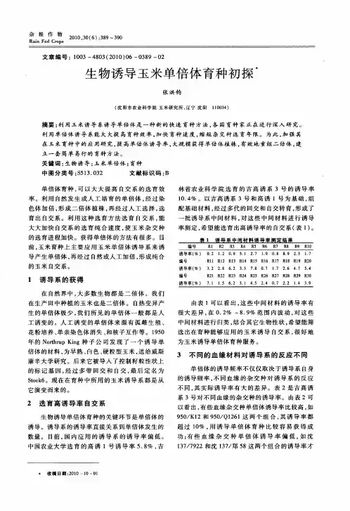 生物诱导玉米单倍体育种初探