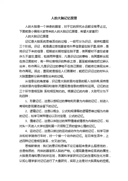人的大脑记忆原理