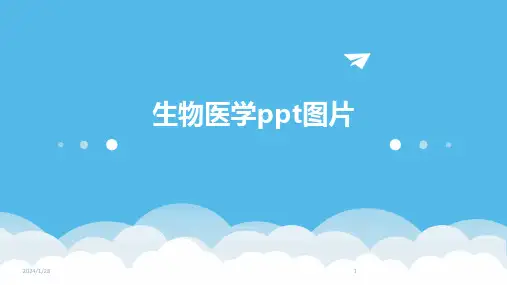 生物医学ppt图片