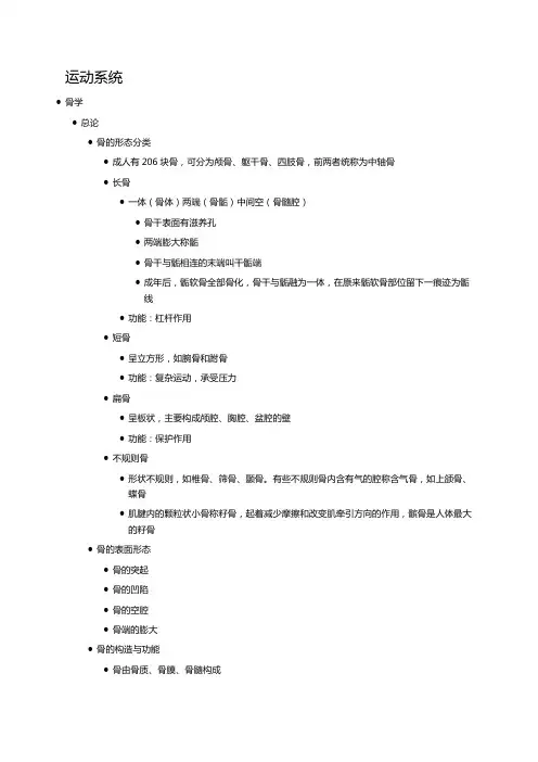 系统解剖学——运动系统