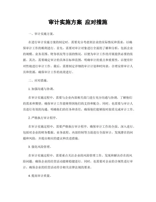 审计实施方案 应对措施