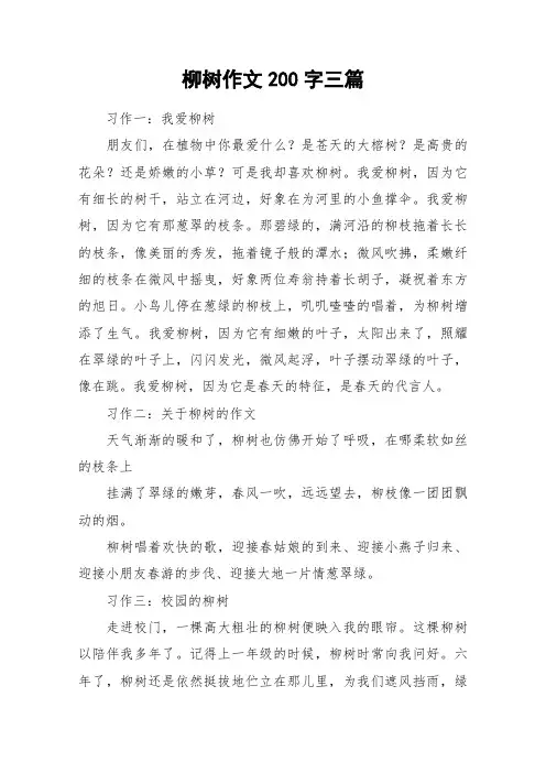 柳树作文200字三篇_作文