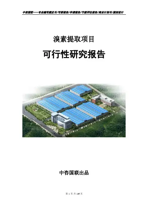 溴素提取项目可行性研究报告立项申请报告范文