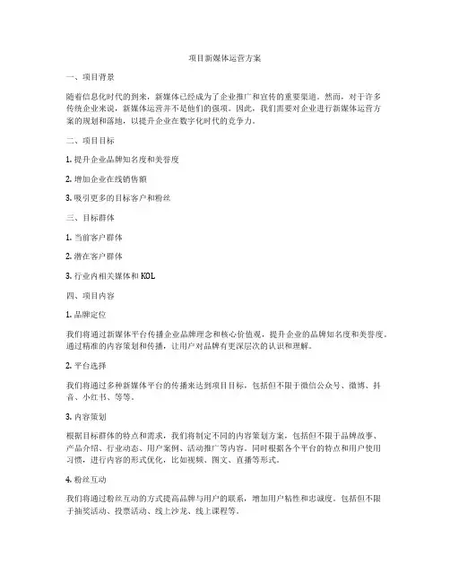 项目新媒体运营方案