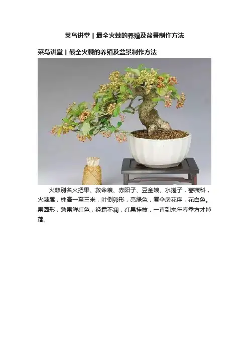 菜鸟讲堂丨最全火棘的养殖及盆景制作方法