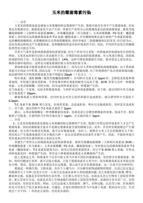 玉米的霉菌毒素污染