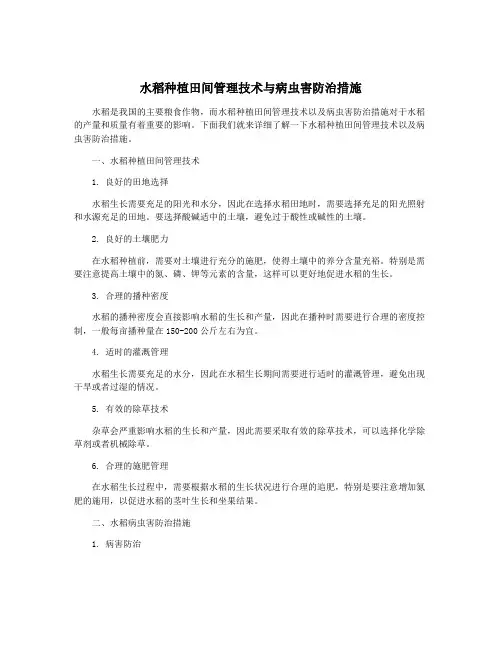 水稻种植田间管理技术与病虫害防治措施