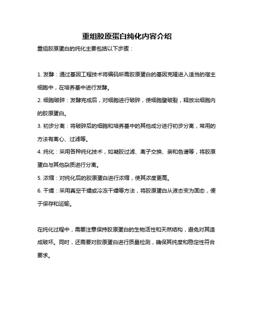 重组胶原蛋白纯化内容介绍