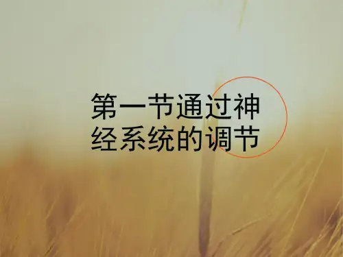 最新-高中生物必修3 通过神经系统的调节 课件25张 精