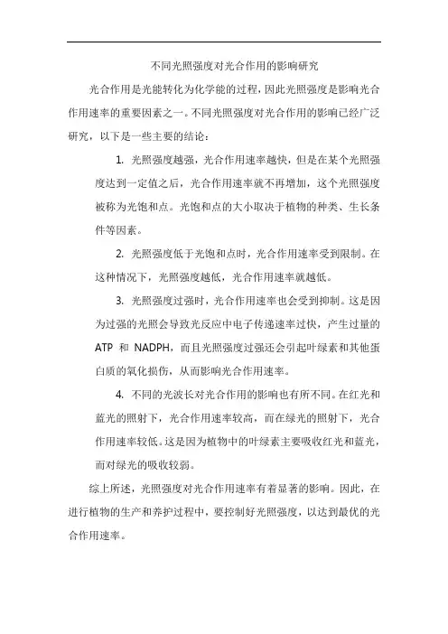 不同光照强度对光合作用的影响研究