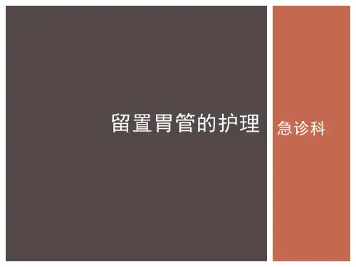 胃管的护理 PPT课件