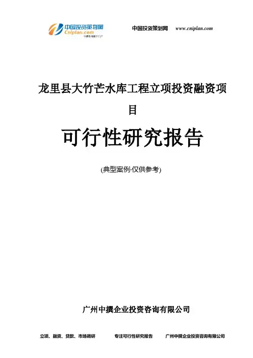 龙里县大竹芒水库工程融资投资立项项目可行性研究报告(非常详细)