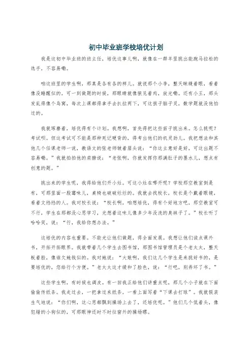 初中毕业班学校培优计划
