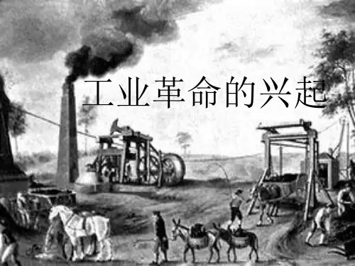 工业革命的兴起和科学的世纪 PPT课件