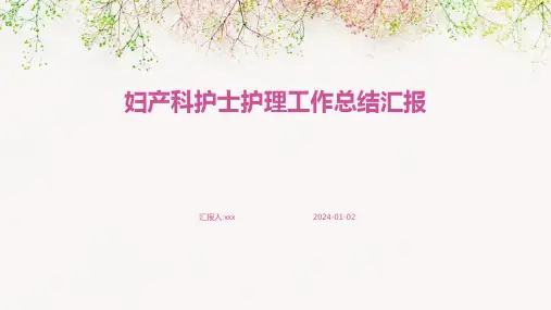 妇产科护士护理工作总结汇报PPT课件