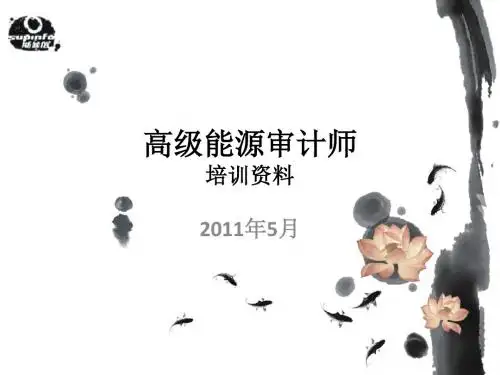 高级能源审计师培训资料[1]