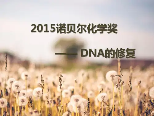 2015诺贝尔化学奖