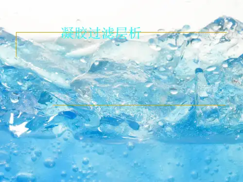 凝胶过滤层析