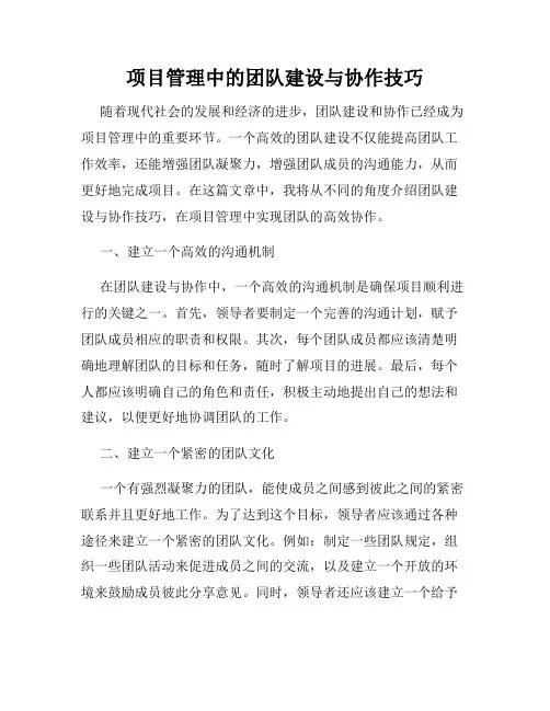 项目管理中的团队建设与协作技巧