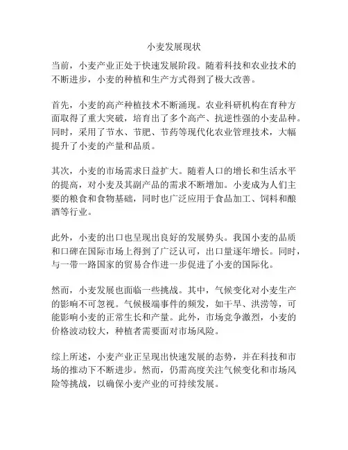 小麦发展现状
