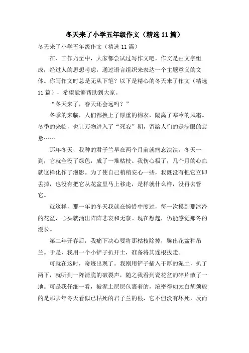 冬天来了小学五年级作文(11篇)