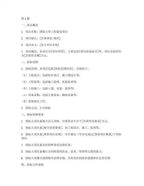 国际大型工程建设招标书(3篇)