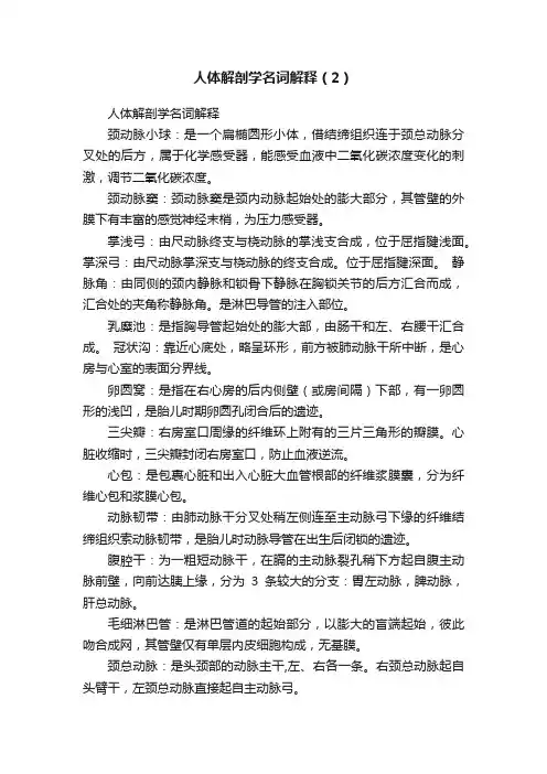 人体解剖学名词解释（2）