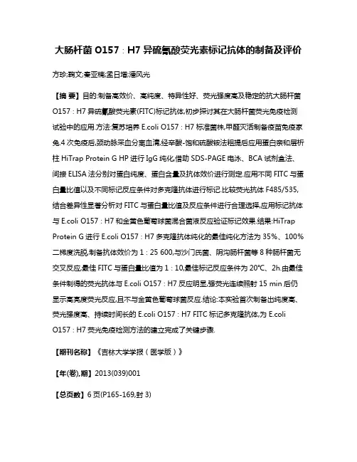 大肠杆菌O157∶H7异硫氰酸荧光素标记抗体的制备及评价