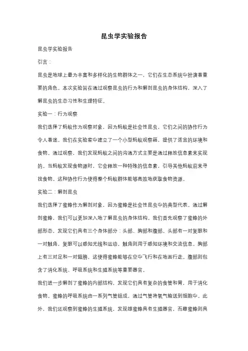 昆虫学实验报告
