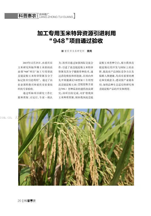 加工专用玉米特异资源引进利用“948”项目通过验收