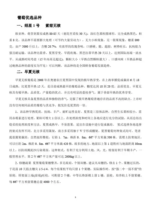 葡萄优选品种