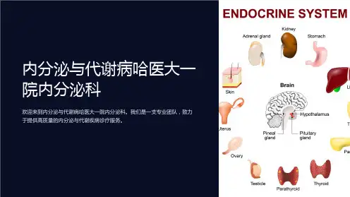 内分泌与代谢病哈医大一院内分泌科