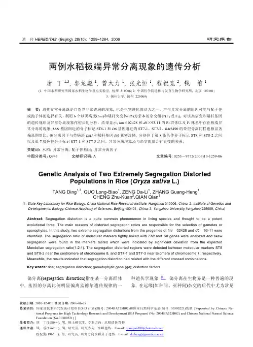 两例水稻极端异常分离现象的遗传分析