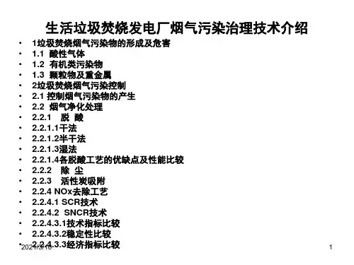 垃圾焚烧发电厂烟气治理课件ppt