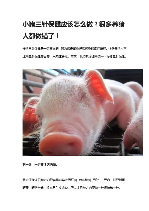 小猪三针保健应该怎么做？仔猪三针保健的流程