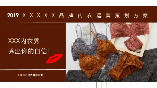 文胸品牌内衣运营策划方案PPT